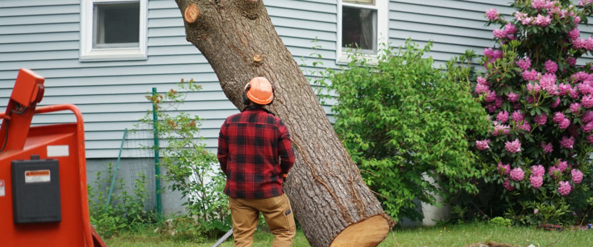 Boost Your Rental Investment Property's Value With Professional Tree Removal In Ellisville, MS