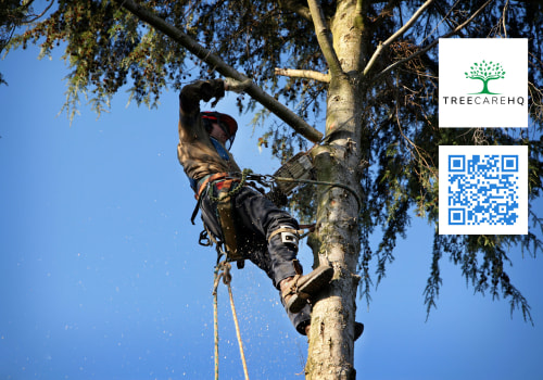 Branching Out For Profits: How Tree Pruning Services Impact Your Bethany Investment Property